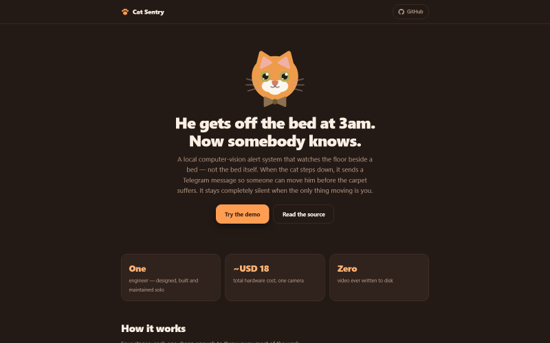 Cat Sentry — the write-up